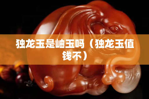 獨龍玉是岫玉嗎（獨龍玉值錢不）