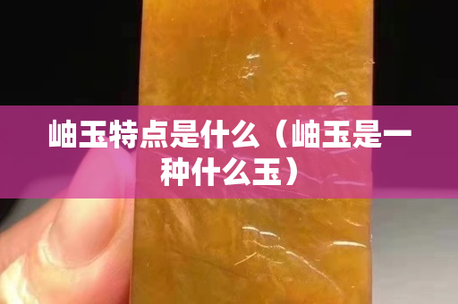 岫玉特點是什么（岫玉是一種什么玉）