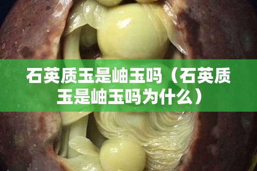 石英質玉是岫玉嗎（石英質玉是岫玉嗎為什么）