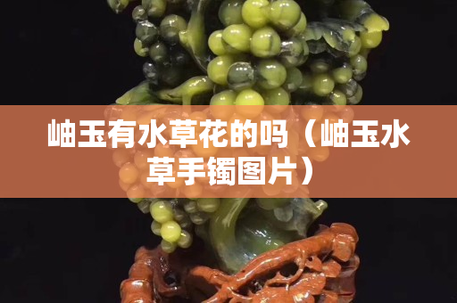 岫玉有水草花的嗎（岫玉水草手鐲圖片）