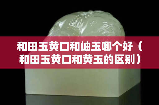 和田玉黃口和岫玉哪個好（和田玉黃口和黃玉的區別）