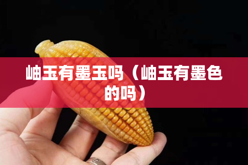 岫玉有墨玉嗎（岫玉有墨色的嗎）