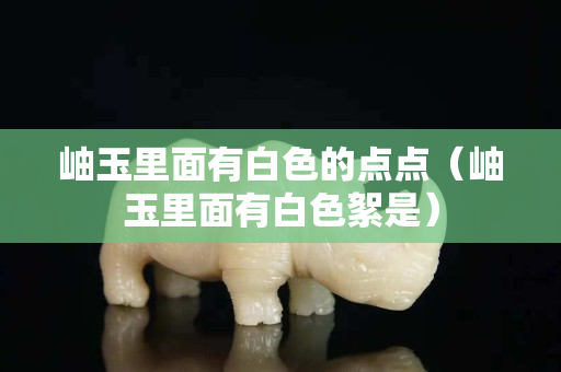 岫玉里面有白色的點點（岫玉里面有白色絮是）