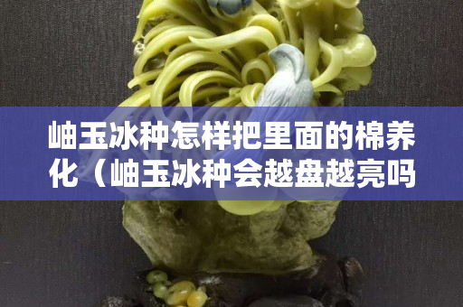 岫玉冰種怎樣把里面的棉養化（岫玉冰種會越盤越亮嗎）