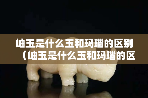 岫玉是什么玉和瑪瑙的區(qū)別（岫玉是什么玉和瑪瑙的區(qū)別呢）