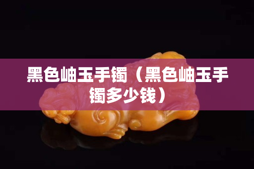 黑色岫玉手鐲（黑色岫玉手鐲多少錢）
