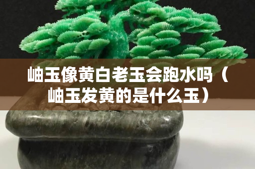 岫玉像黃白老玉會跑水嗎（岫玉發黃的是什么玉）