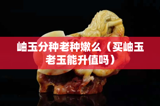岫玉分種老種嫩么（買岫玉老玉能升值嗎）