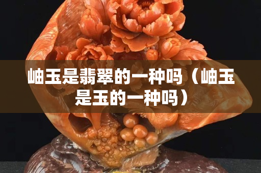 岫玉是翡翠的一種嗎（岫玉是玉的一種嗎）