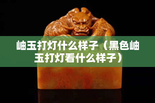 岫玉打燈什么樣子（黑色岫玉打燈看什么樣子）