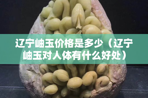 遼寧岫玉價(jià)格是多少（遼寧岫玉對(duì)人體有什么好處）