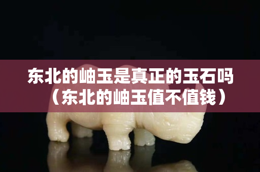 東北的岫玉是真正的玉石嗎（東北的岫玉值不值錢）