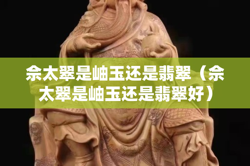 佘太翠是岫玉還是翡翠（佘太翠是岫玉還是翡翠好）