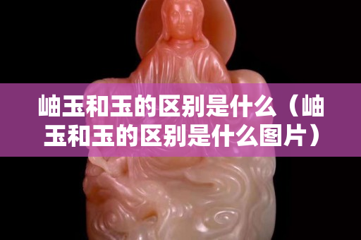 岫玉和玉的區別是什么（岫玉和玉的區別是什么圖片）