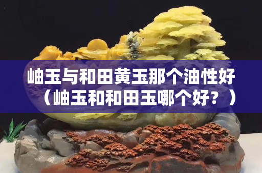 岫玉與和田黃玉那個(gè)油性好（岫玉和和田玉哪個(gè)好？）