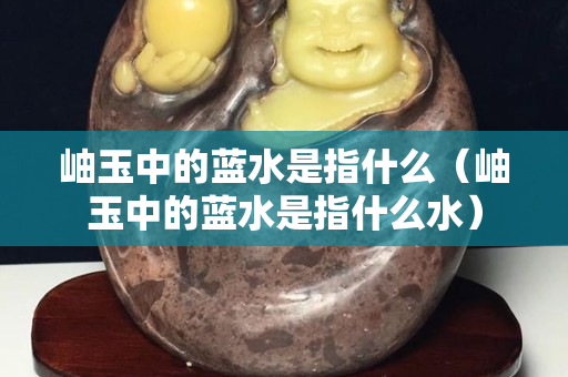 岫玉中的藍水是指什么（岫玉中的藍水是指什么水）