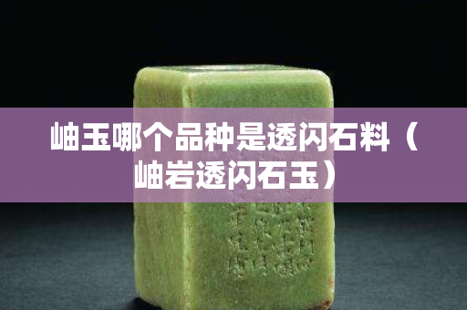 岫玉哪個(gè)品種是透閃石料（岫巖透閃石玉）