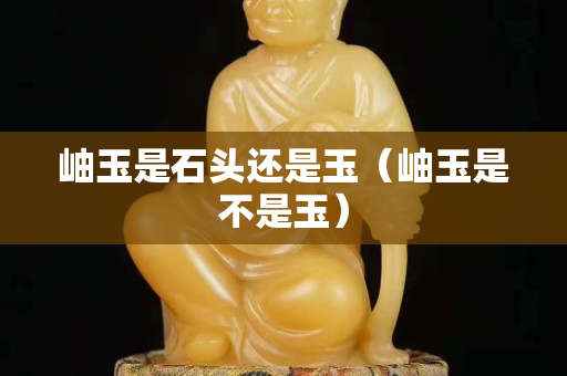 岫玉是石頭還是玉（岫玉是不是玉）