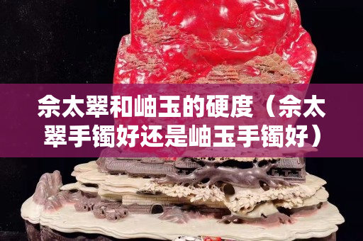 佘太翠和岫玉的硬度（佘太翠手鐲好還是岫玉手鐲好）