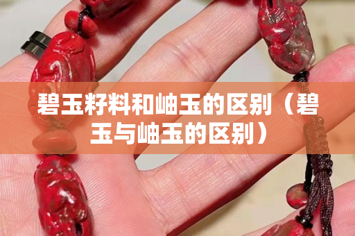 碧玉籽料和岫玉的區(qū)別（碧玉與岫玉的區(qū)別）