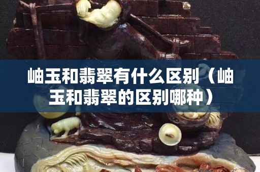 岫玉和翡翠有什么區(qū)別（岫玉和翡翠的區(qū)別哪種）