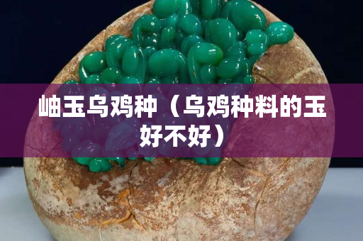 岫玉烏雞種（烏雞種料的玉好不好）