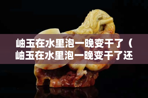 岫玉在水里泡一晚變干了（岫玉在水里泡一晚變干了還能戴嗎）