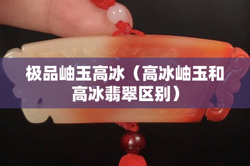 極品岫玉高冰（高冰岫玉和高冰翡翠區(qū)別）