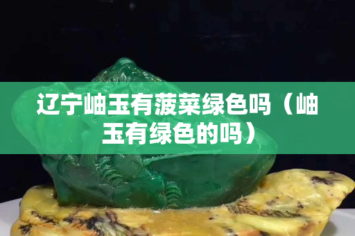 遼寧岫玉有菠菜綠色嗎（岫玉有綠色的嗎）