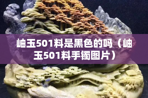 岫玉501料是黑色的嗎（岫玉501料手鐲圖片）