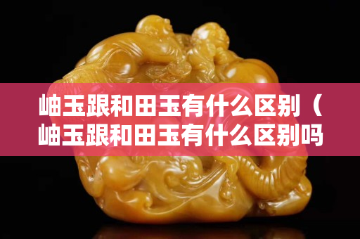 岫玉跟和田玉有什么區別（岫玉跟和田玉有什么區別嗎）