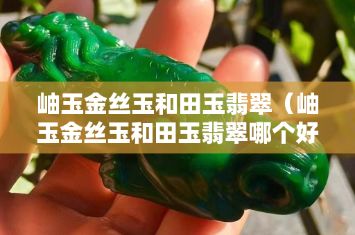 岫玉金絲玉和田玉翡翠（岫玉金絲玉和田玉翡翠哪個(gè)好）