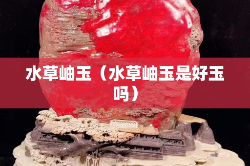 水草岫玉（水草岫玉是好玉嗎）