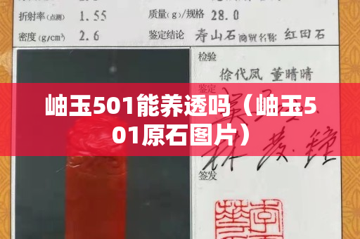 岫玉501能養透嗎（岫玉501原石圖片）