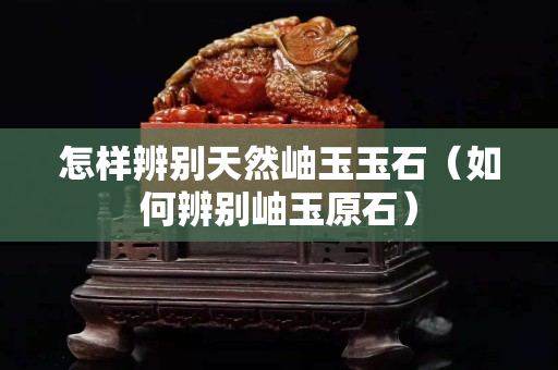 怎樣辨別天然岫玉玉石（如何辨別岫玉原石）