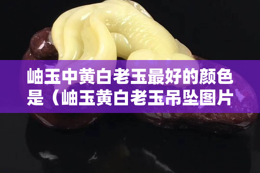 岫玉中黃白老玉最好的顏色是（岫玉黃白老玉吊墜圖片及價格）