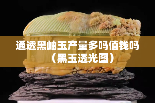 通透黑岫玉產(chǎn)量多嗎值錢嗎（黑玉透光圖）