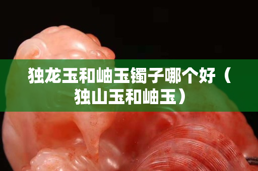 獨龍玉和岫玉鐲子哪個好（獨山玉和岫玉）