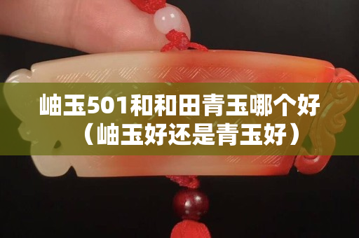 岫玉501和和田青玉哪個好（岫玉好還是青玉好）