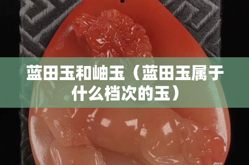 藍田玉和岫玉（藍田玉屬于什么檔次的玉）