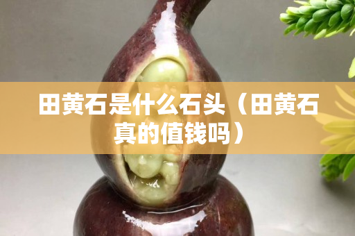 田黃石是什么石頭（田黃石真的值錢嗎）