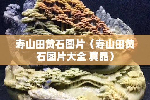 壽山田黃石圖片（壽山田黃石圖片大全 真品）