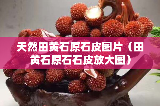 天然田黃石原石皮圖片（田黃石原石石皮放大圖）