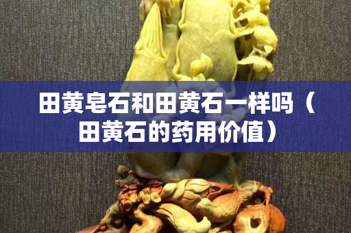 田黃皂石和田黃石一樣嗎（田黃石的藥用價值）