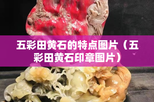 五彩田黃石的特點圖片（五彩田黃石印章圖片）