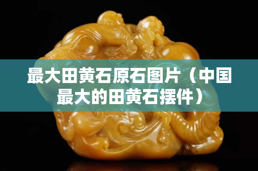 最大田黃石原石圖片（中國最大的田黃石擺件）