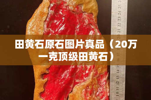 田黃石原石圖片真品（20萬一克頂級田黃石）