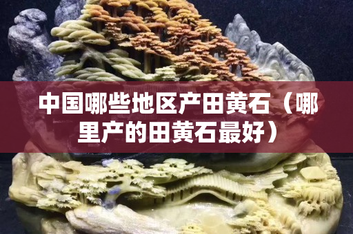 中國哪些地區產田黃石（哪里產的田黃石最好）