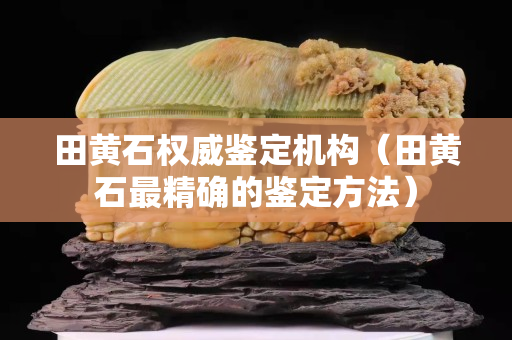 田黃石權威鑒定機構（田黃石最精確的鑒定方法）
