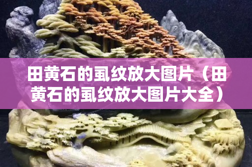 田黃石的虱紋放大圖片（田黃石的虱紋放大圖片大全）